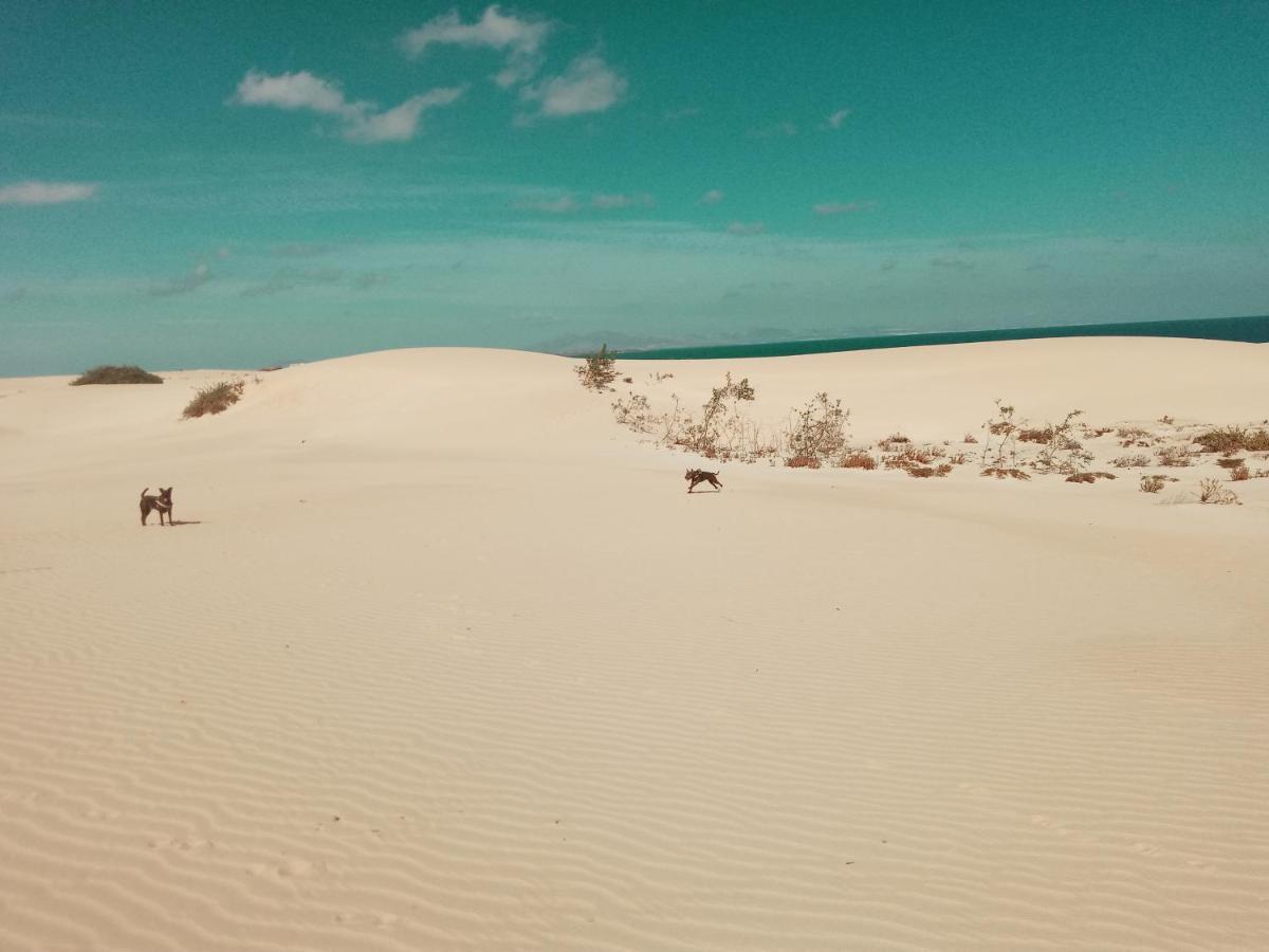 Desert Of Love Fuerteventura Lägenhet Costa Calma Exteriör bild